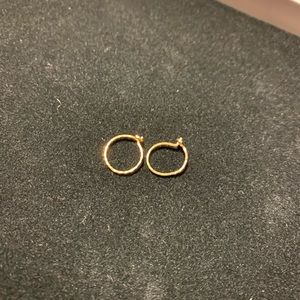 Catbird Hoop Dream Earrings 1cm pair 14k gold